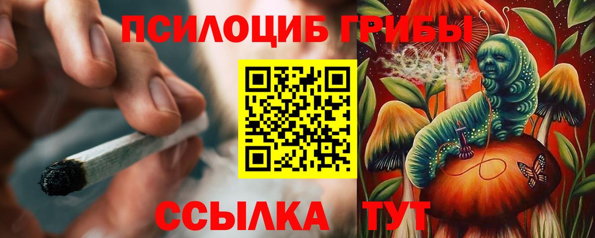 Псилоцибиновые грибы GOLDEN TEACHER  Вход с VPN  Чехов  цены   Галлюциногенные грибы мицелий 